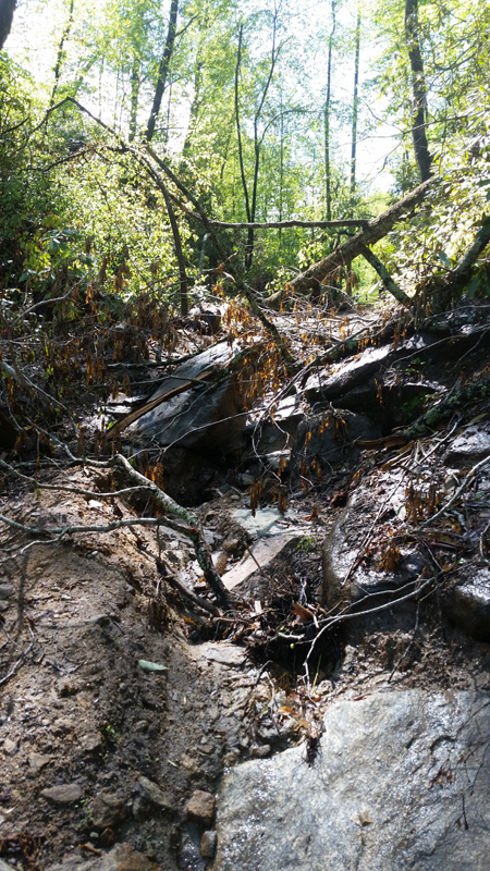 up valley trail.jpg