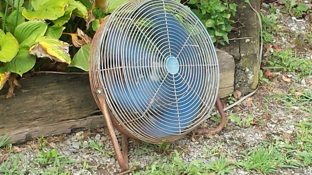 How I get rid of yellow jackets. | NC4x4