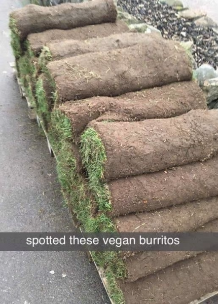 vegan.png