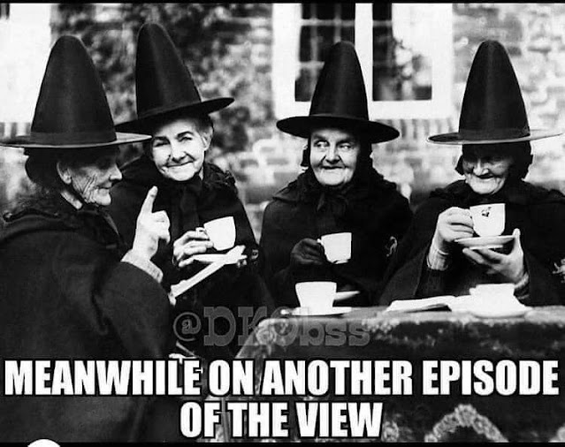 view witches.jpeg