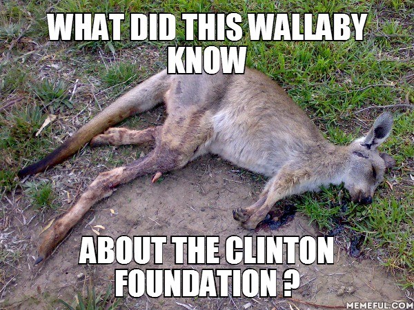 wallaby.jpg