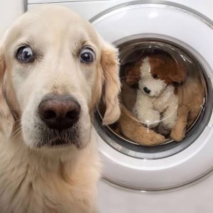 washer.jpeg
