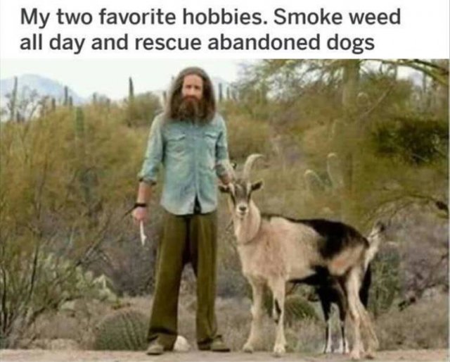 weed.jpg