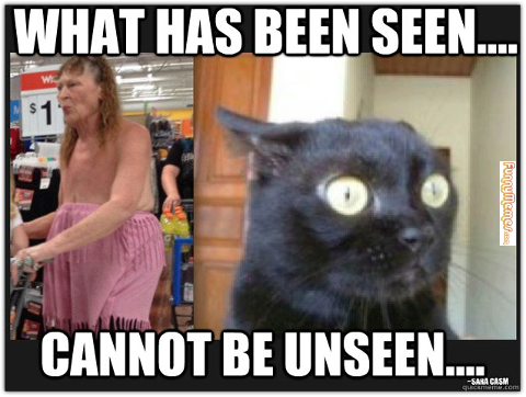 what-has-been-seen-cannot-be-unseen-funny-meme.png