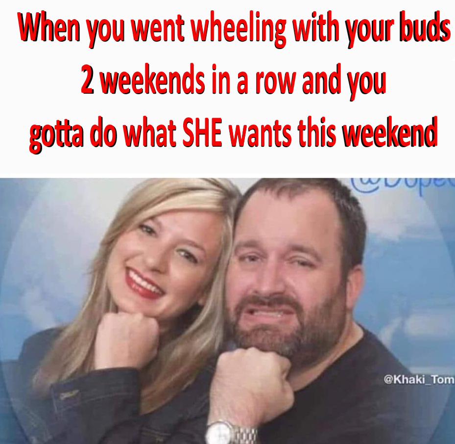 whippedpic.jpg