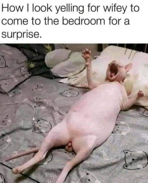 wife.jpg