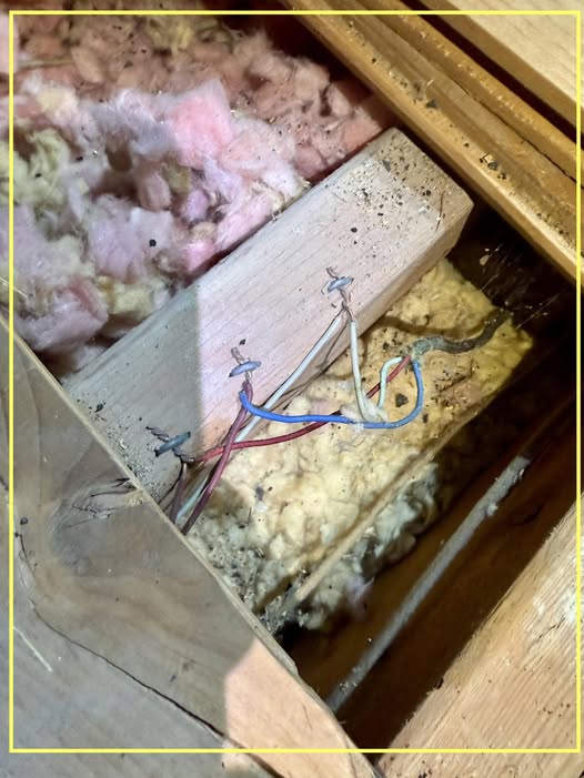 wiring.jpg