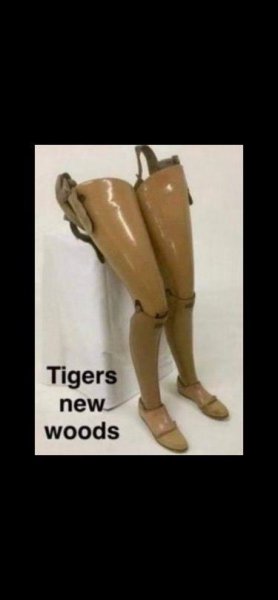 woods.jpeg