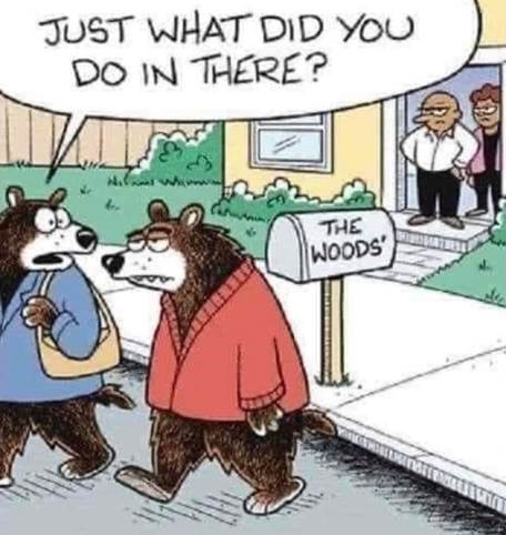 Woods.jpg