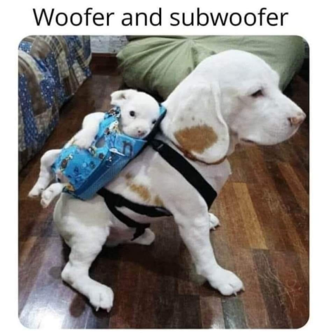 woofer.png