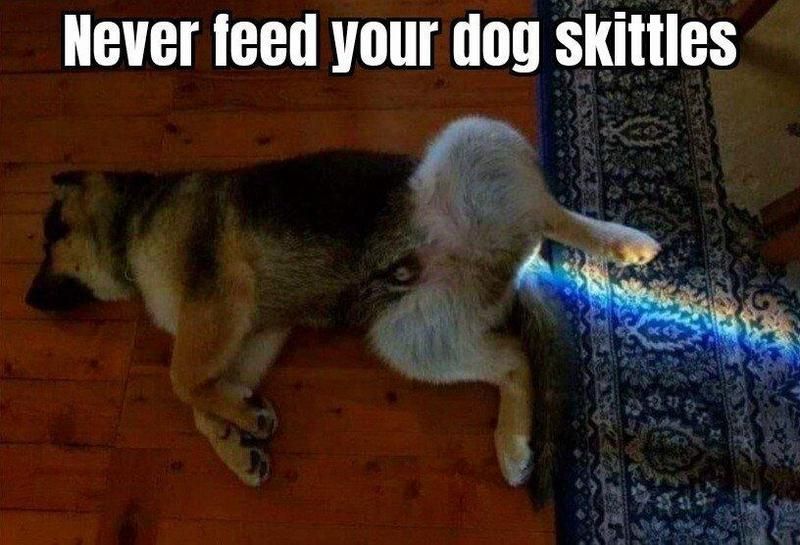 wp-content-jpg.359606