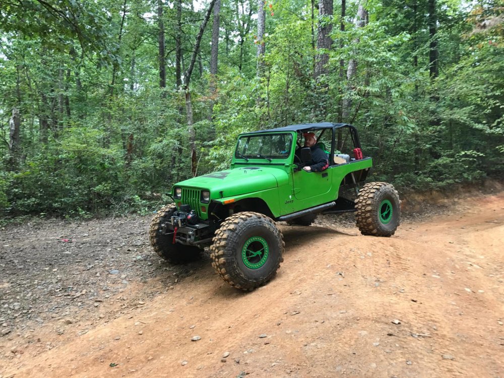 yj 2.jpg