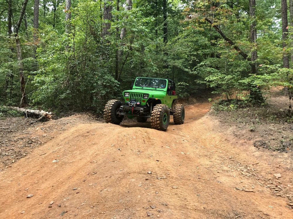 yj 3.jpg