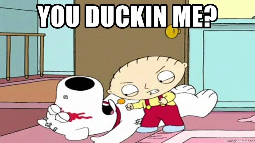 you-duckin-me.jpg