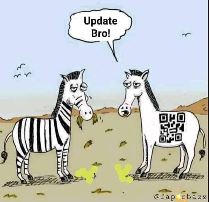 zebra.png