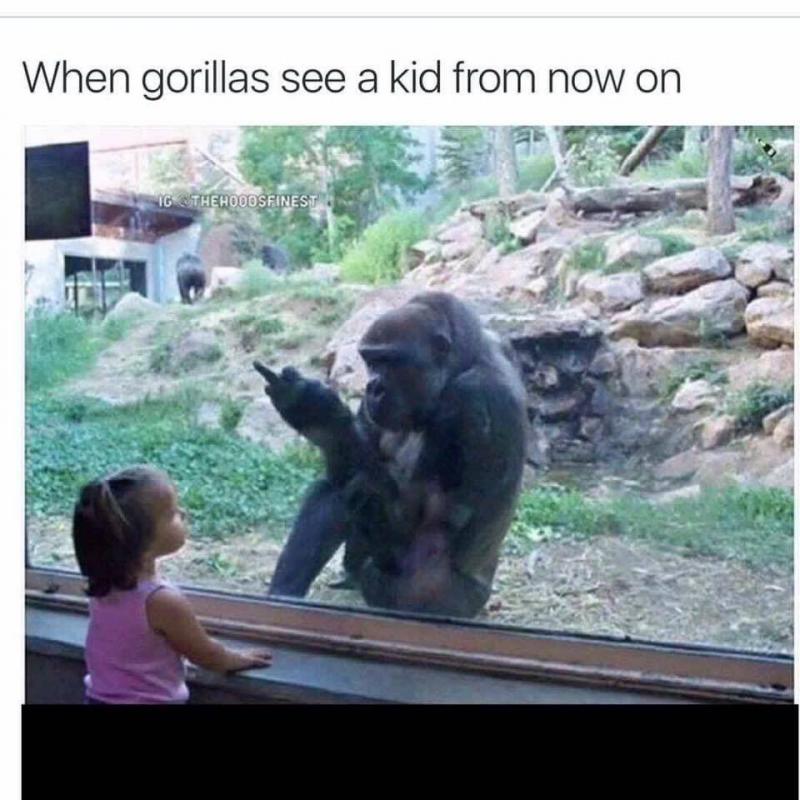 Zoo.jpg