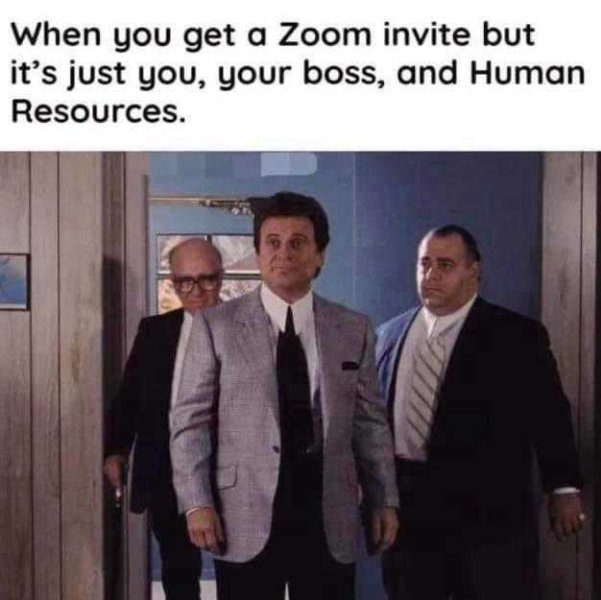 zoom.jpeg