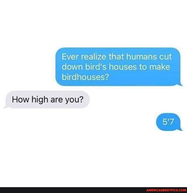 How-high-are-you2.jpg