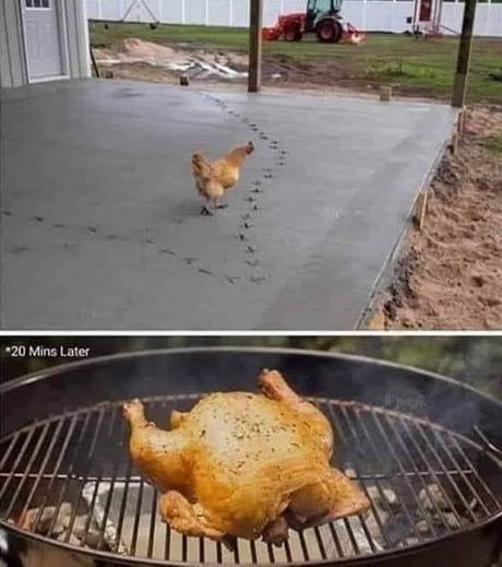 Grilled_chicken_jpg-1938501.JPG