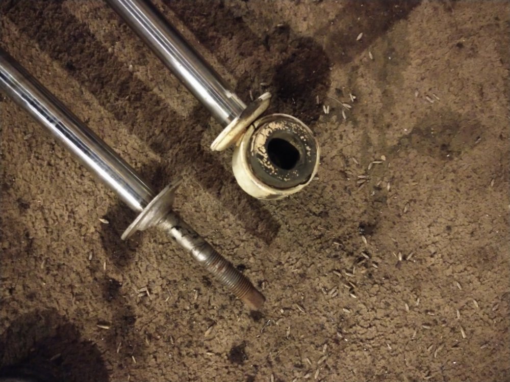 img_20180325_235056869_ll-jpg.265441