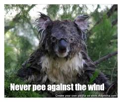 never-pee-against-the-wind.jpg