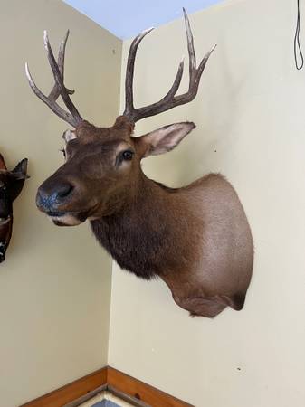 raleigh.craigslist.org