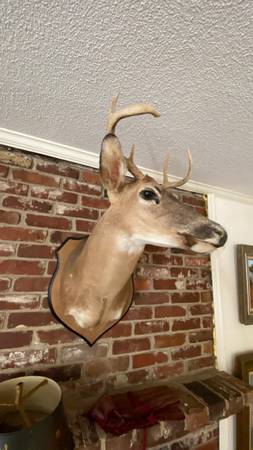 raleigh.craigslist.org