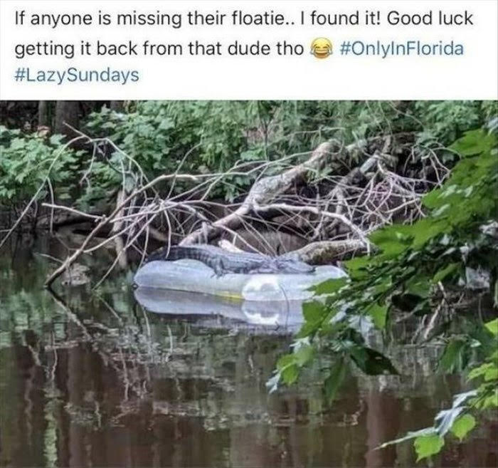 Anyone-missing-a-floatie.jpg