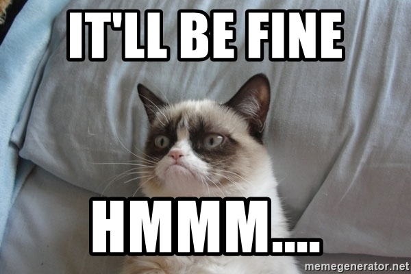 itll-be-fine-hmmm.jpg