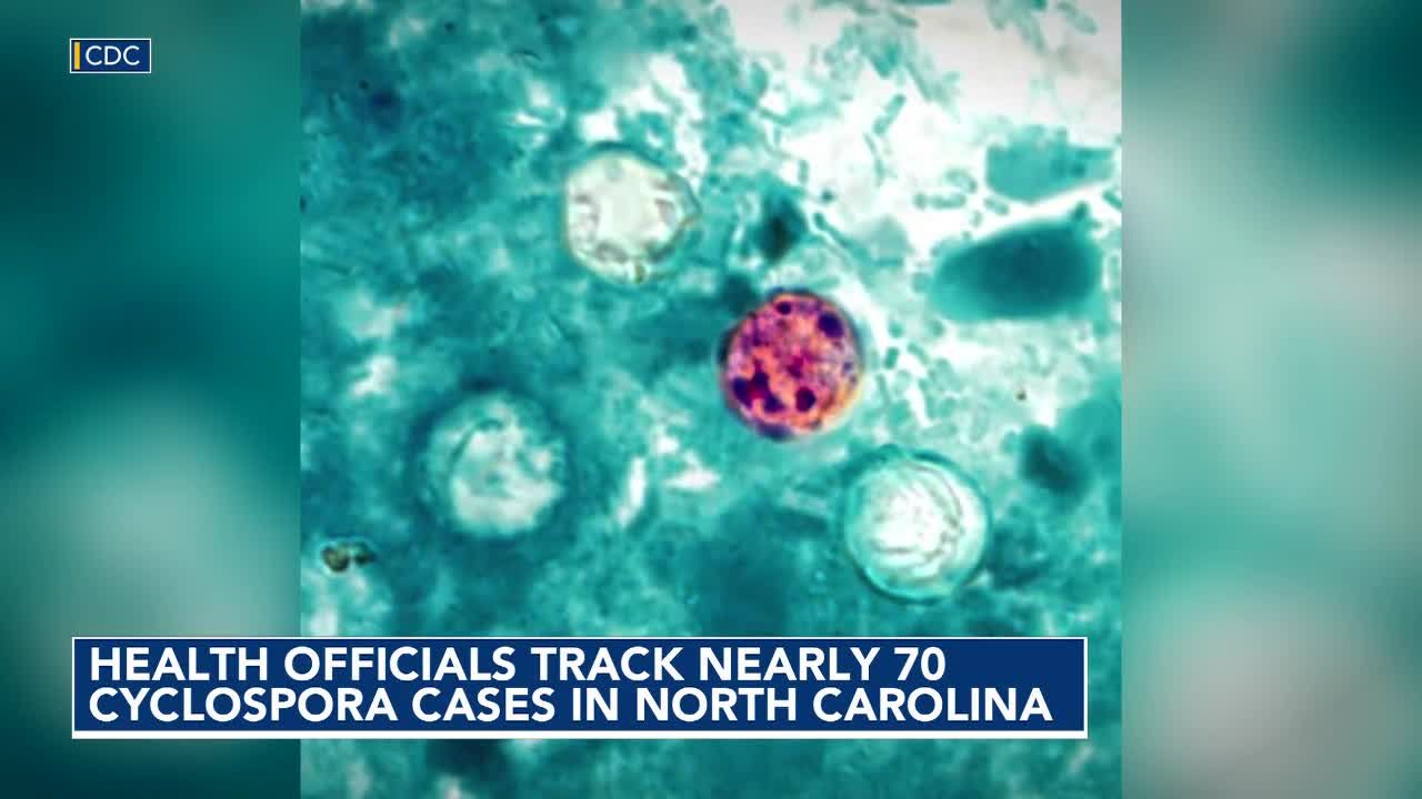 www.wral.com