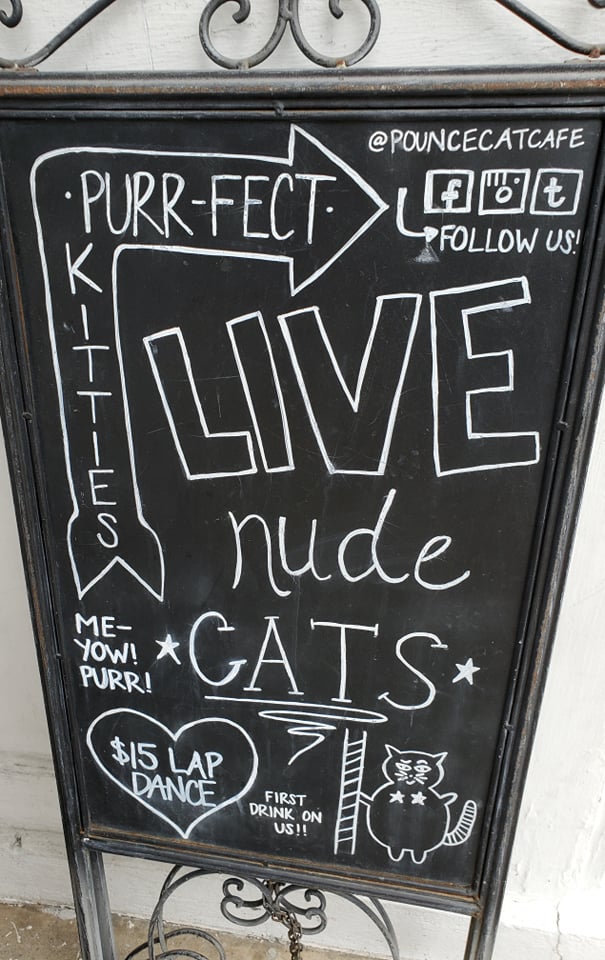 Live-nude-cats.jpg