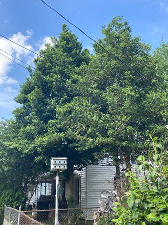 winstonsalem.craigslist.org