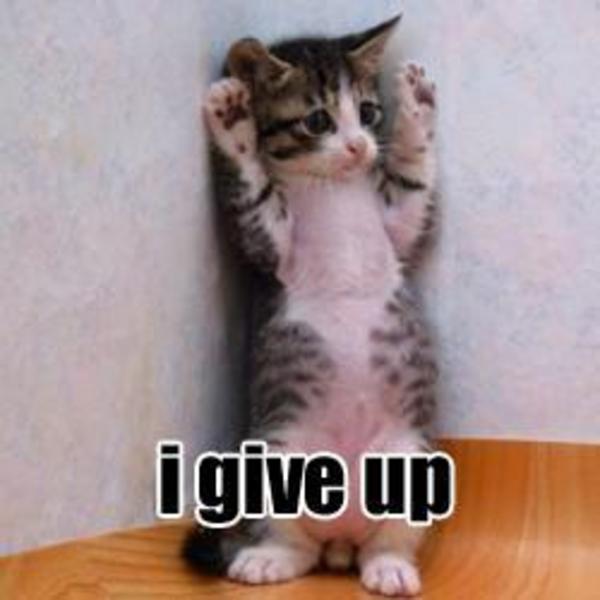 I-give-up.jpg