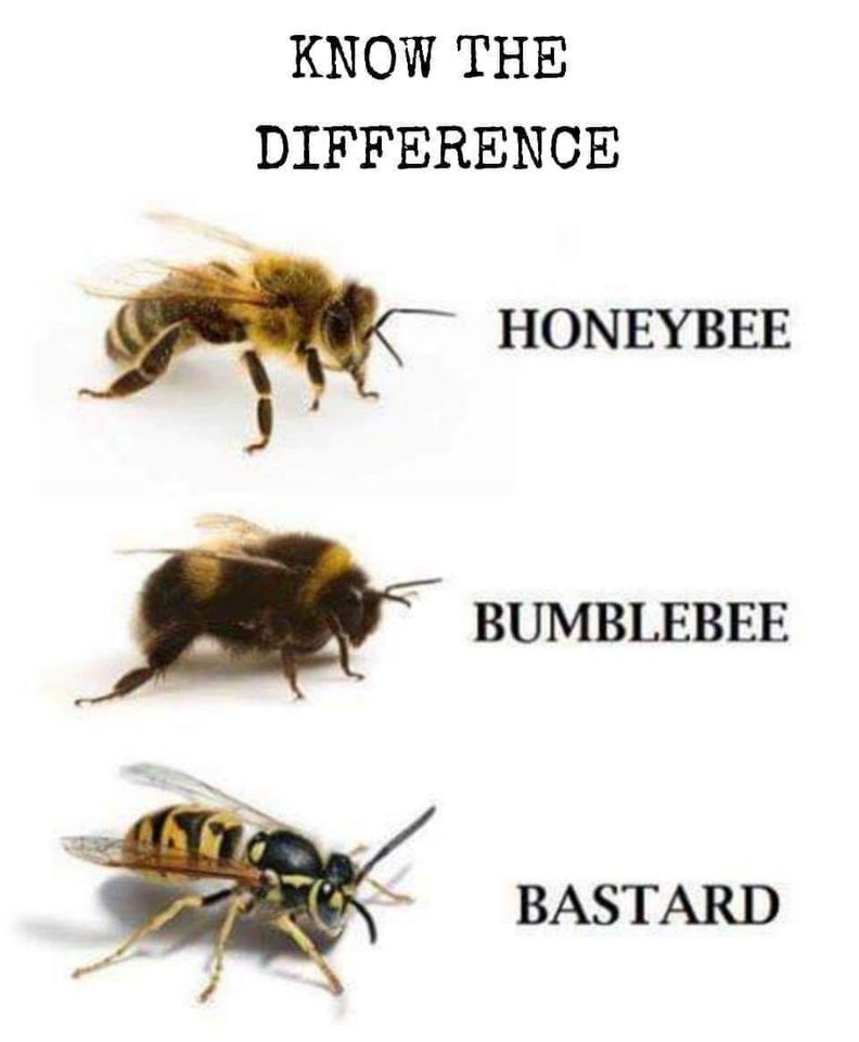 Know-the-difference...5.jpg