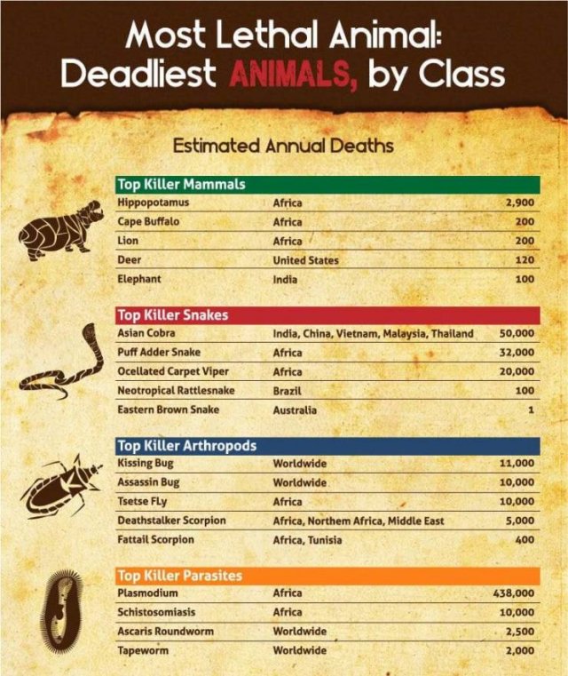 Deadliest-Animals.jpg