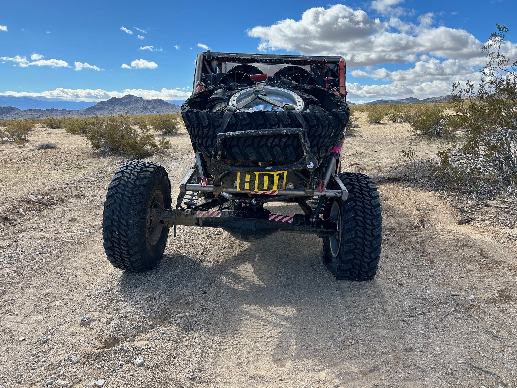 Rollover Rear.jpg