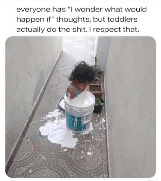 Ya-gotta-respect-toddlers....png