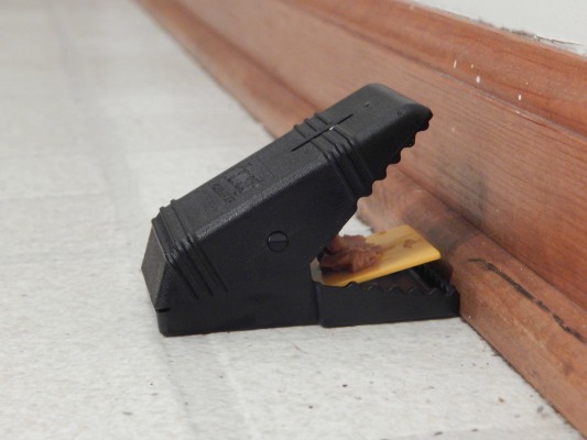 tomcatmousetrap5.jpg