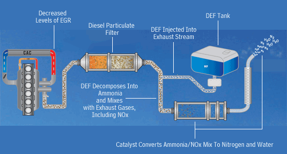 6a00d83451b3c669e201127943519928a4-800wi