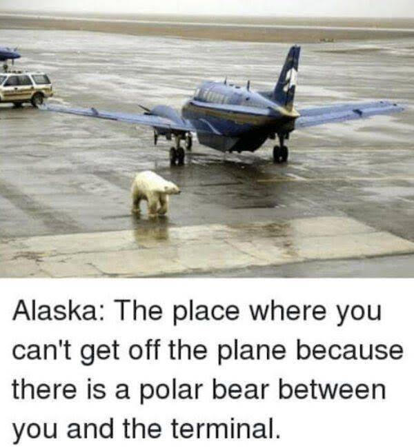 in-Alaska...2.jpg