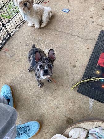 raleigh.craigslist.org