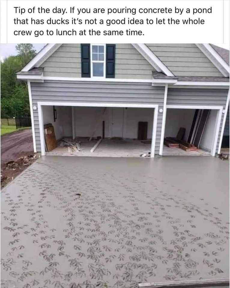 Duck-Prints.jpg