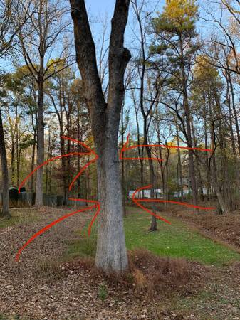 raleigh.craigslist.org