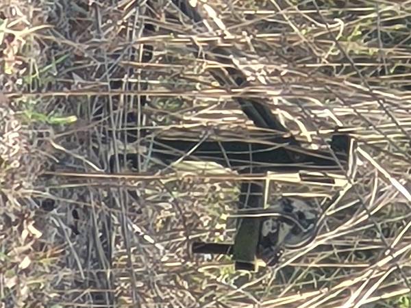 eastnc.craigslist.org