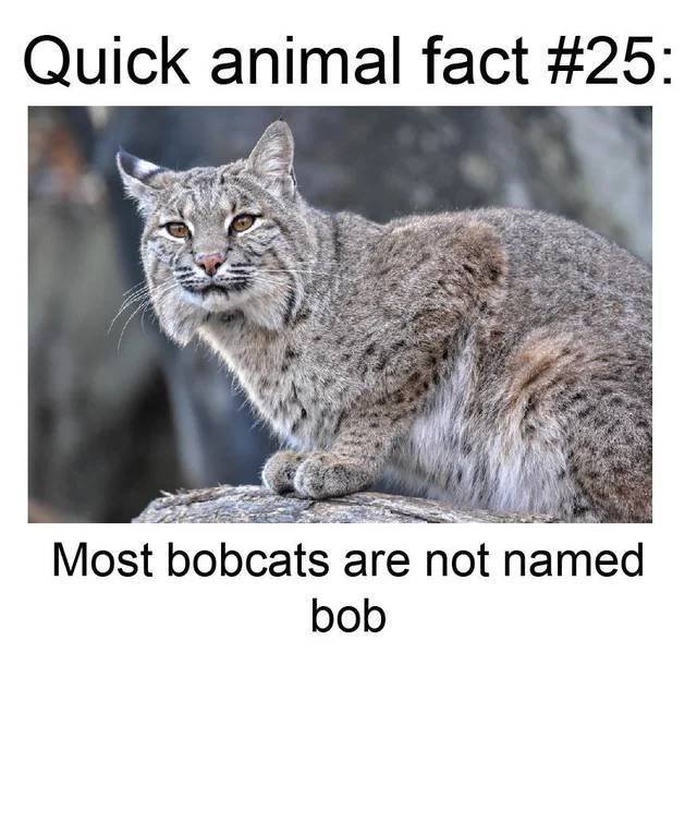 Animal-fact-25.jpg