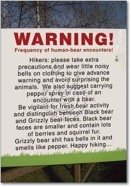Bear-Warning.jpg