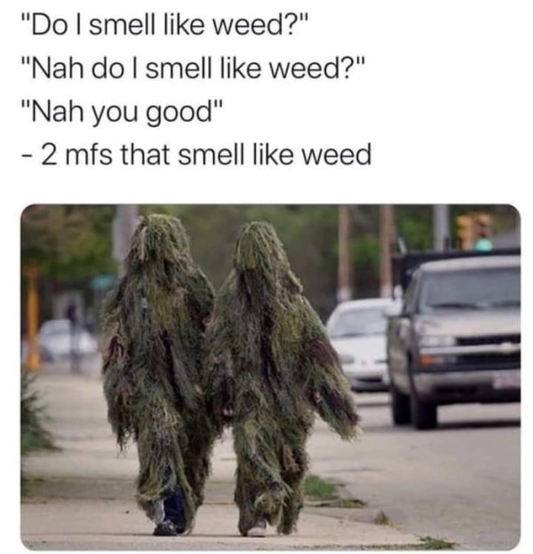 Do-I-smell-like-weed.jpg