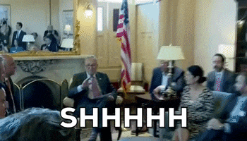Chuck Schumer Im Talking GIF by GIPHY News